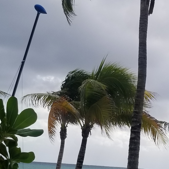 Bralette Camisole Plus Size - Picture 1 of 1